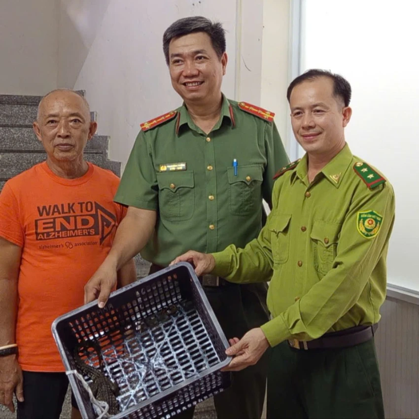 ca-sau-nang-gan-2kg-bo-vao-nha-dan-o-tp-hcm-3.jpg