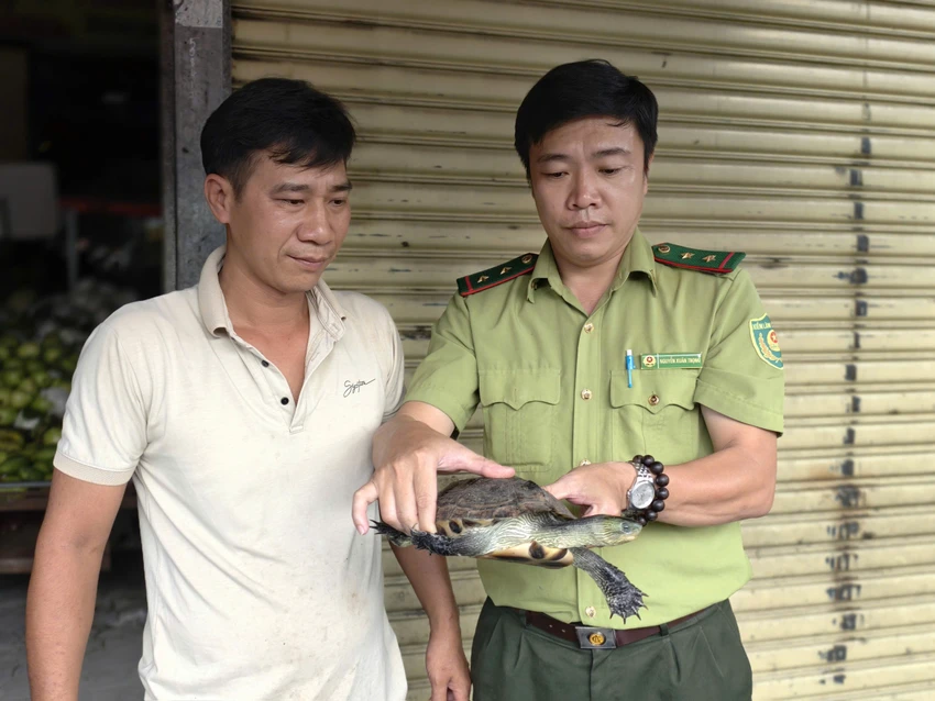 rua-co-soc-va-te-te-quy-bat-ngo-xuat-hien-tren-duong-o-tp-hcm-duoc-nguoi-dan-giao-kiem-lam (1).jpg
