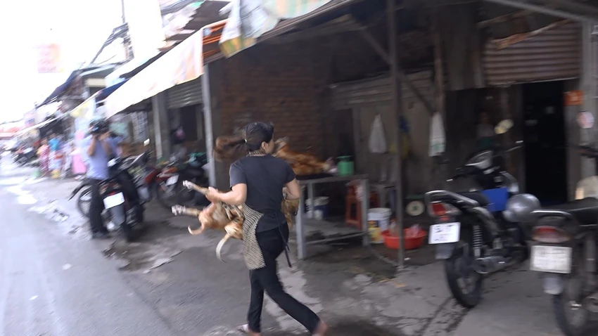bao-dong-benh-dai-tu-nan-trom-cho-tp-hcm-lap-doi-lien-nganh-dep-lo-mo-0.jpg
