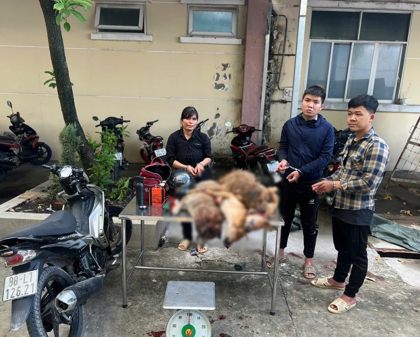 cong-an-tp-hcm-siet-quan-ly-diem-kinh-doanh-vat-nuoi-trom-cap-tieu-thu-cho-meo-1.jpg