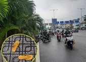Người phụ nữ gieo mình xuống kênh Bến Nghé từ cầu Calmette