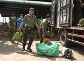 Những chuyến xe 0 đồng chở hàng trăm tấn rau củ đến bà con vùng dịch