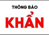 Công an Bà Rịa- Vũng Tàu tìm chủ sở hữu 2 xe máy 