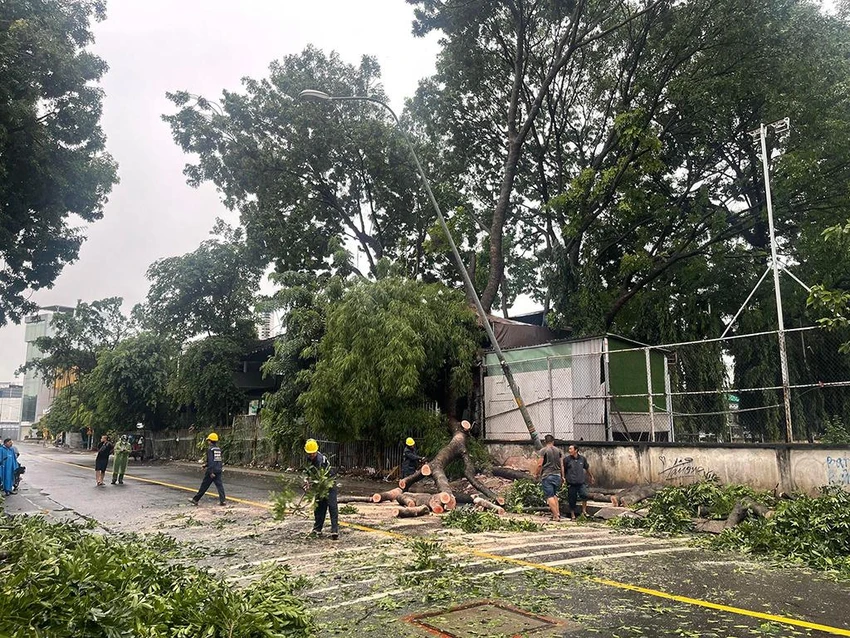 Nhánh cây ngã ra đường, chắn toàn bộ lối đi trên đường Đặng Văn Sâm. Ảnh: ĐC Nhánh cây ngã ra đường, chắn toàn bộ lối đi trên đường Đặng Văn Sâm. Ảnh: ĐC