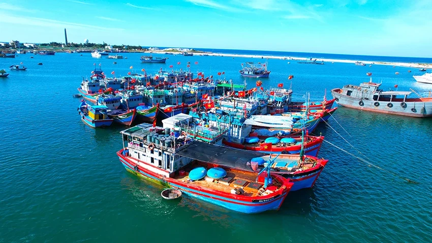 Quảng Ngãi siết chặt kiểm tra, xử lý nghiêm tàu cá vi phạm khai thác IUU