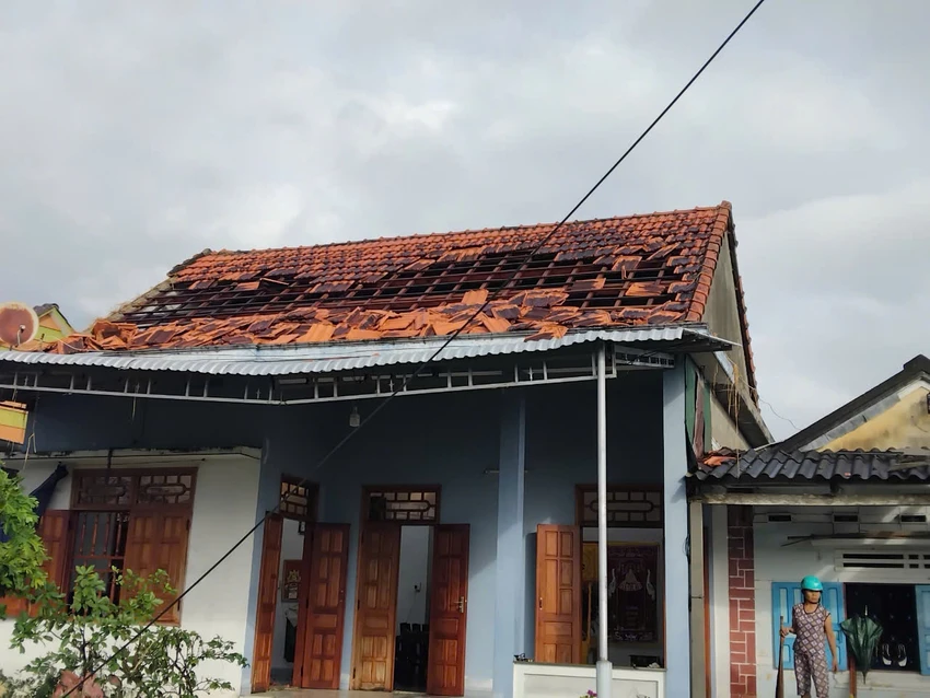gio-loc-lam-toc-mai-36-nha-dan-o-quang-ngai-3.jpg