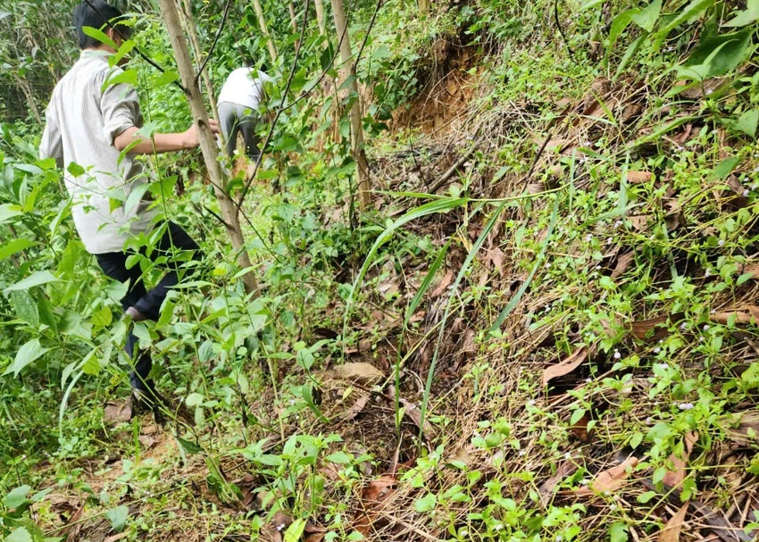 quang-ngai-dua-diem-sat-lo-nui-mang-ka-muong-thanh-tinh-huong-khan-cap-ve-thien-tai-1.jpg