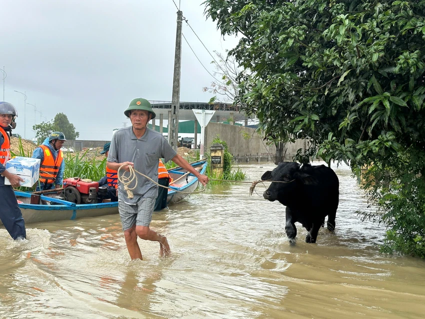 chạy lũ trong đêm