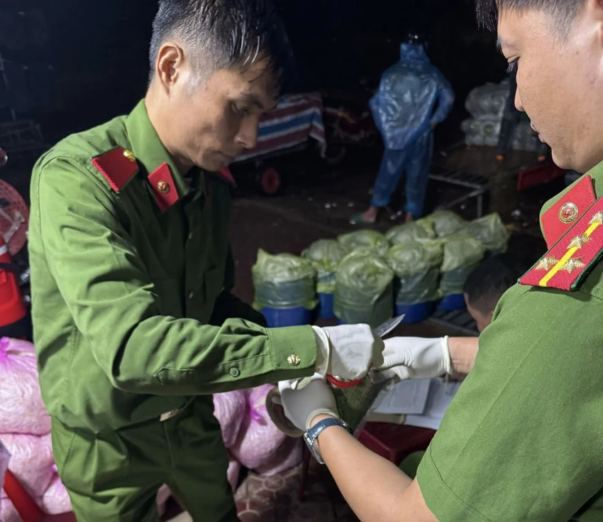 quang-ngai-phat-hien-co-so-san-xuat-gia-do-dung-hoa-chat-6-benzylaminopurine-1.jpg