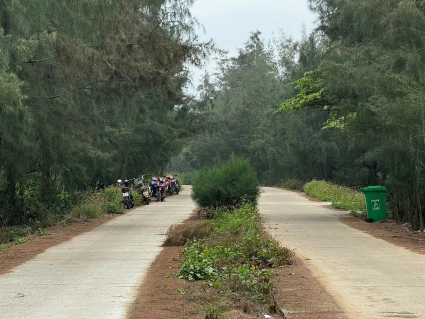 Khởi tố thêm 2 giám đốc trong vụ 'rút ruột’ đường ven biển ở Quảng Ngãi