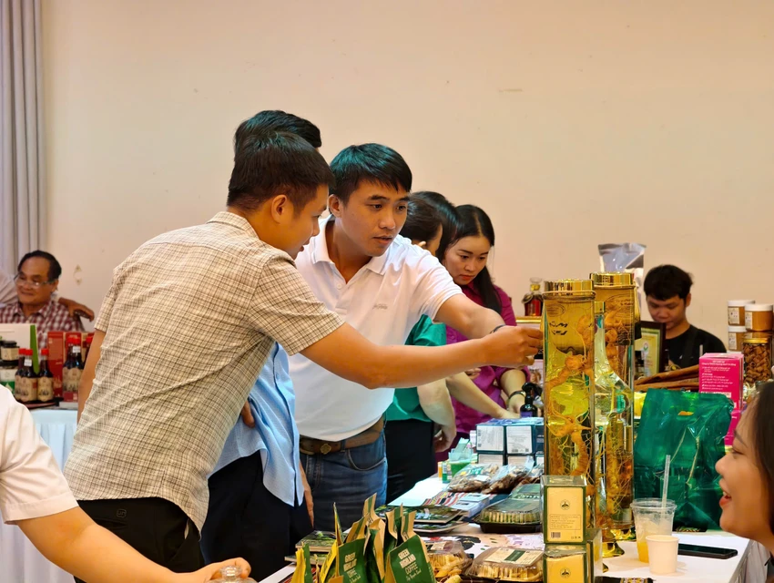 tao-dot-pha-du-lich-quang-ngai-tu-lien-ket-vung-2.jpg