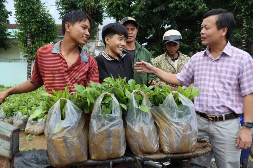 hon-100-ngan-cay-giong-2-tan-phan-bon-thay-hoa-mung-dai-hoi-dang-bo-xa-tu-mo-rong3.jpg