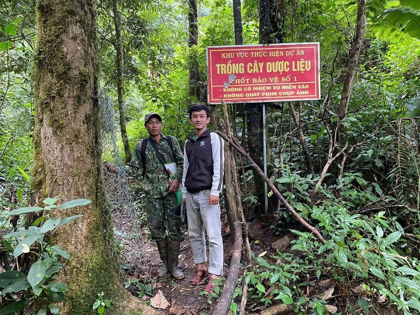 lao-dao-vi-nan-trom-cap-cay-sam-ngoc-linh-3.jpg