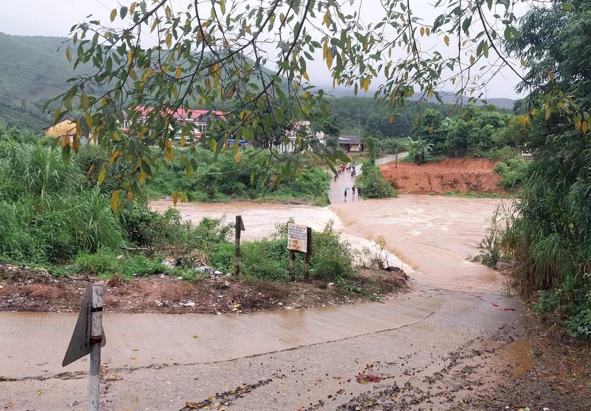 hiem-hoa-rinh-rap-tu-nhung-cau-tran-vung-cao-quang-ngai-3.jpg