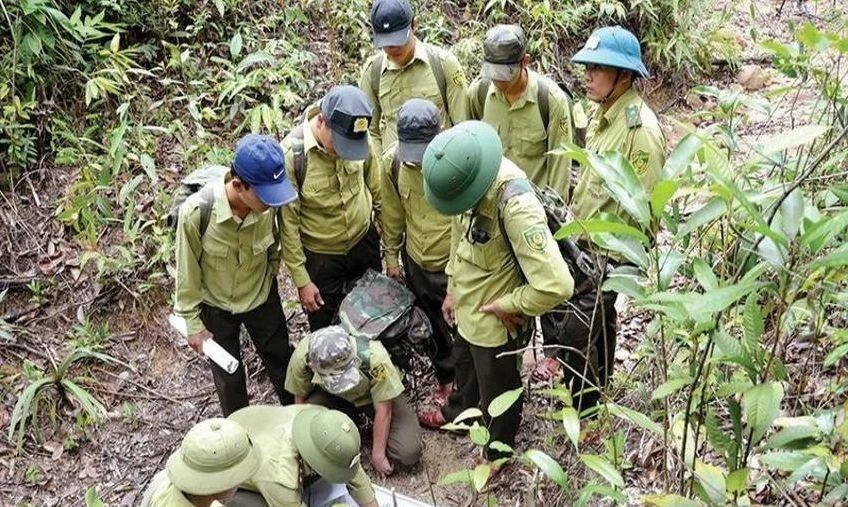Kiểm lâm là một trong 5 vị trí công tác được đề xuất định kỳ chuyển đổi vị trí công tác. Ảnh: BÁO QUẢNG NAM Kiểm lâm là một trong 5 vị trí công tác được đề xuất định kỳ chuyển đổi vị trí công tác. Ảnh: BÁO QUẢNG NAM