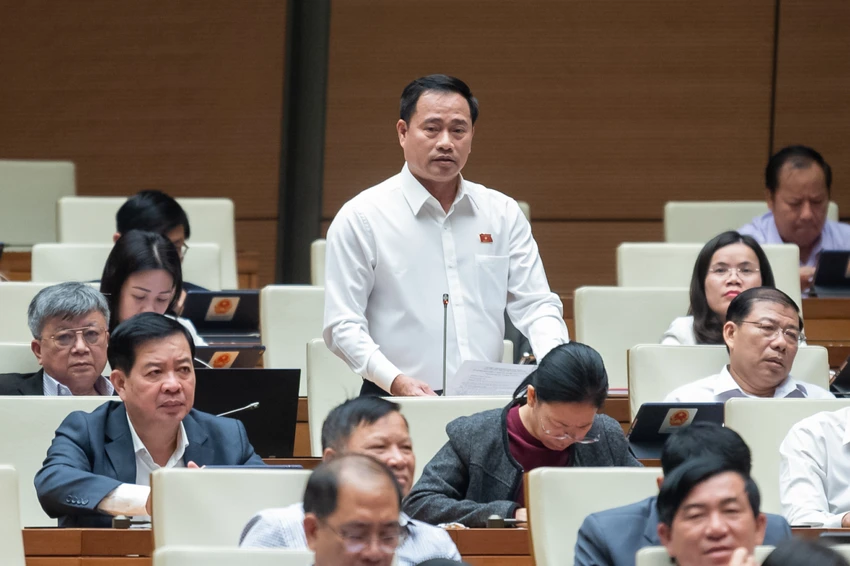 Chanh-an-le-Thanh-Phong.jpeg