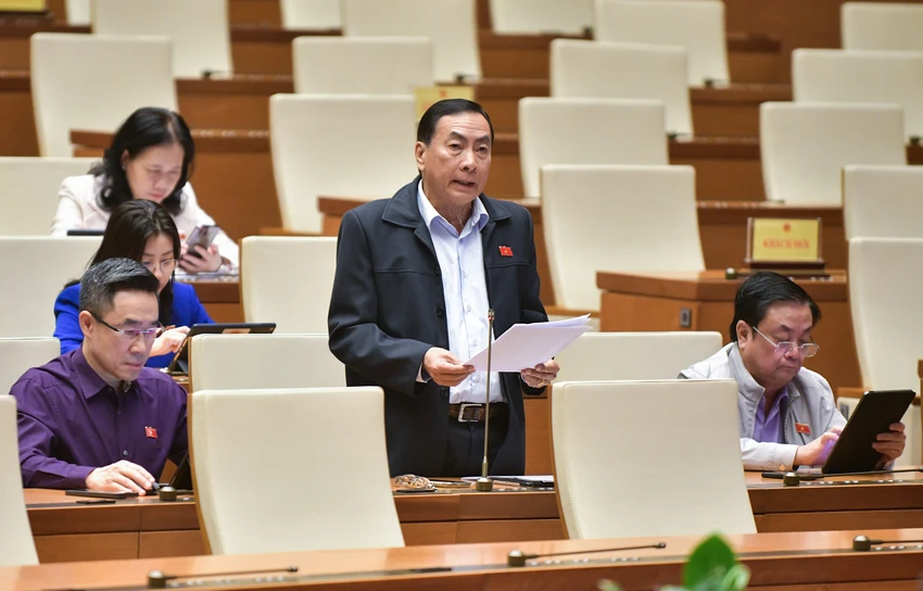 trúng đấu giá