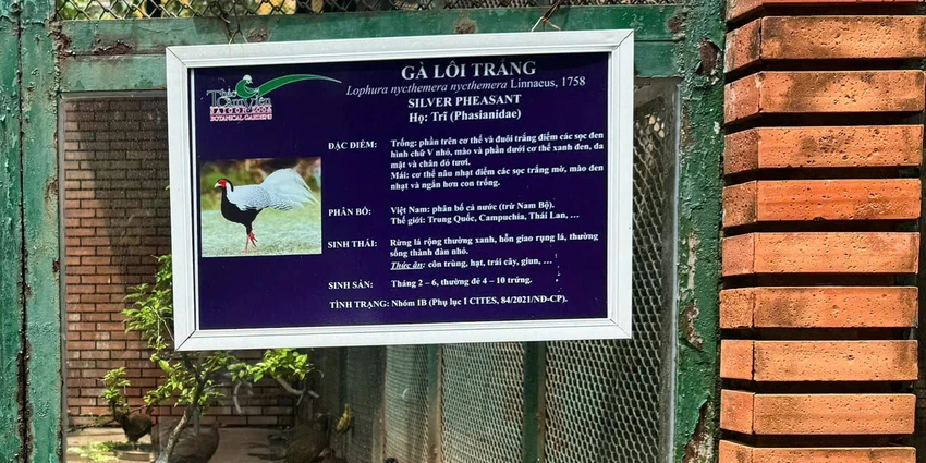Bine-ga-loi.jpg