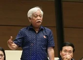 Ông Dương Trung Quốc nói về dựng tượng Lý Thái Tông