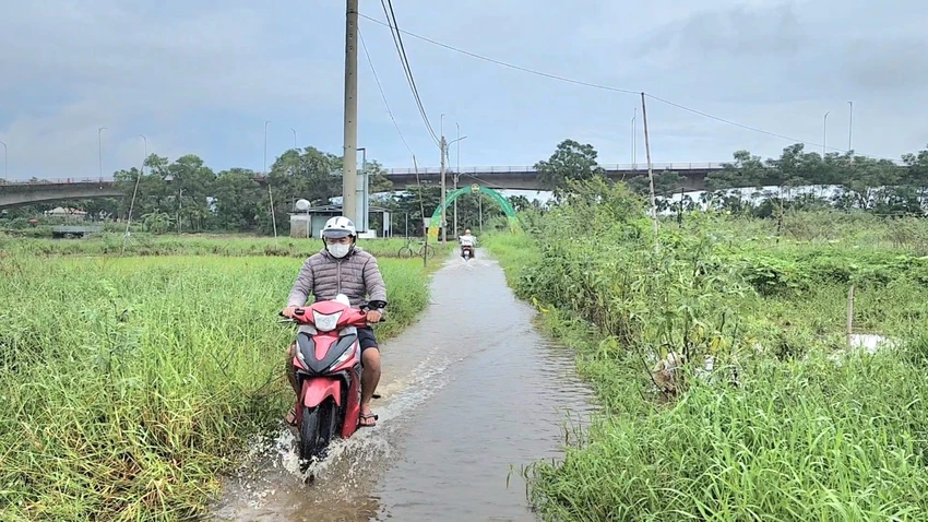 nuop rut nguoi dan ra mot rau.jpg