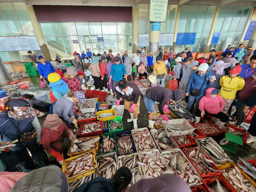 tàu cá chưa đăng kiểm