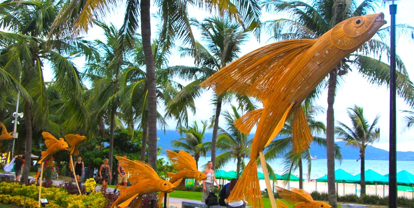 duong-hoa-bien-da-nang.JPG