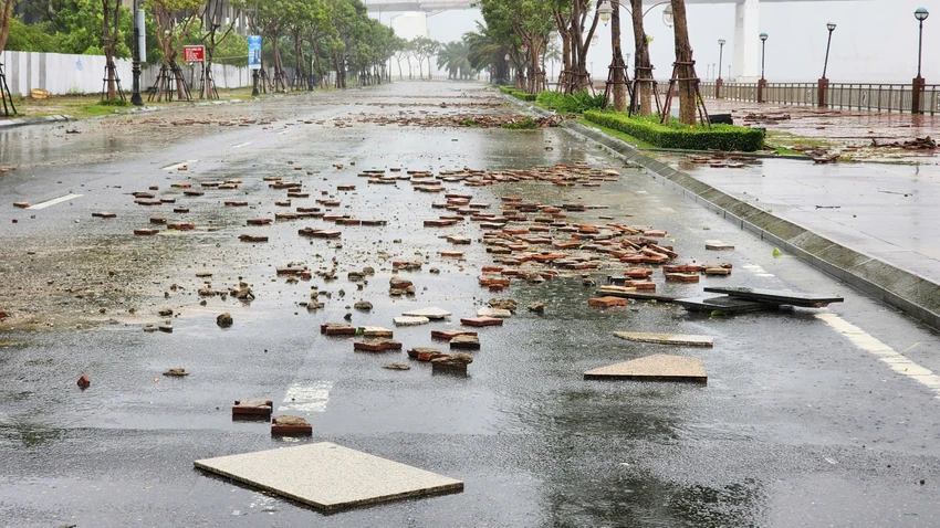 bao-tra-mi-da-nang.jpg