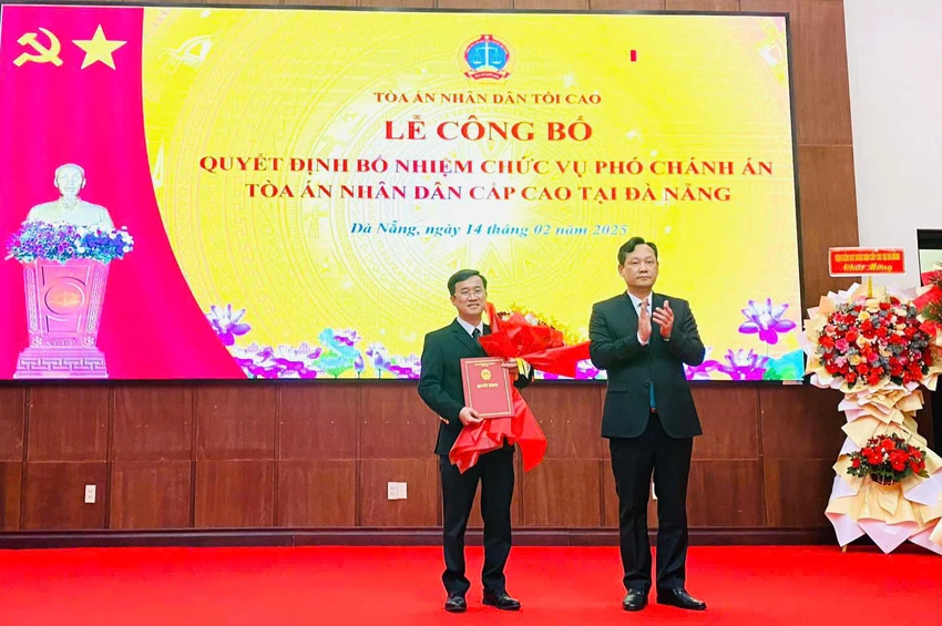 tand cấp cao tại đà nẵng