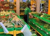 Bách Hóa Xanh đang kinh doanh ra sao?