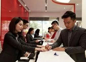 Khó kiếm tiền, F0 giảm đầu tư vào chứng khoán