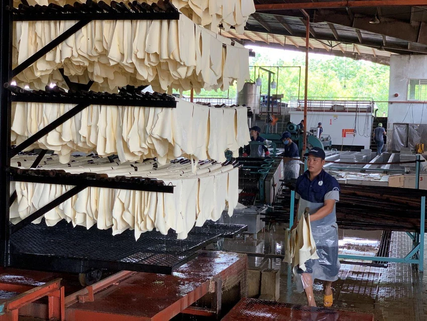 Sản phẩm mũ tờ của Tập đoàn Công nghiệp Cao su Việt Nam rất được ưa chuộng tại Mỹ, châu Âu, Hàn Quốc... Ảnh: Phương Minh Sản phẩm mũ tờ của Tập đoàn Công nghiệp Cao su Việt Nam rất được ưa chuộng tại Mỹ, châu Âu, Hàn Quốc... Ảnh: Phương Minh