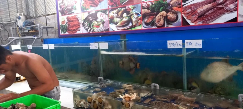 Hải sản được niêm yết giá tại quán - Ảnh CTV Hải sản được niêm yết giá tại quán - Ảnh CTV