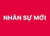 Bổ nhiệm 3 Trợ lý Thủ tướng, Phó Thủ tướng
