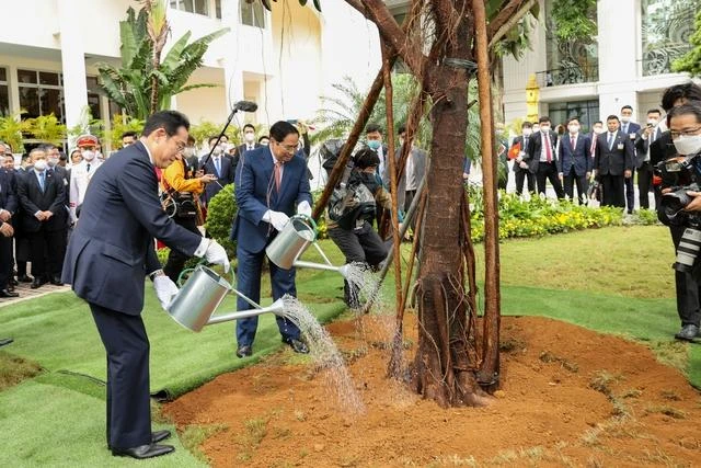 Thủ tướng Phạm Minh Chính và Thủ tướng Nhật Bản Kishida Fumio trồng cây lưu niệm tại khuôn viên Trụ sở Chính phủ. Ảnh: VGP Thủ tướng Phạm Minh Chính và Thủ tướng Nhật Bản Kishida Fumio trồng cây lưu niệm tại khuôn viên Trụ sở Chính phủ. Ảnh: VGP