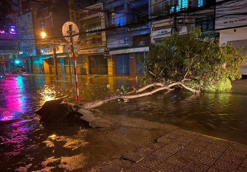 Gió lớn đã làm 1 cây xanh trên đường Ông Ích Khiêm (phường Thạch Thang, quân Hải Châu, Đà Nẵng) bật gốc, chắn ngang hết mặt đường. Hiện trời vẫn đang mưa rất to. Ảnh: HẢI HIẾU Gió lớn đã làm 1 cây xanh trên đường Ông Ích Khiêm (phường Thạch Thang, quân Hải Châu, Đà Nẵng) bật gốc, chắn ngang hết mặt đường. Hiện trời vẫn đang mưa rất to. Ảnh: HẢI HIẾU