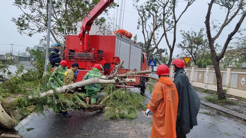 Lực lượng chức năng đang dọn dẹp các cây bị nga đổ do bão. Ảnh: TẤN VIỆT Lực lượng chức năng đang dọn dẹp các cây bị nga đổ do bão. Ảnh: TẤN VIỆT