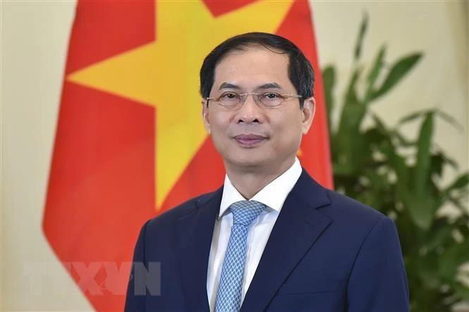 Bộ trưởng Ngoại giao Bùi Thanh Sơn. Ảnh: TTXVN Bộ trưởng Ngoại giao Bùi Thanh Sơn. Ảnh: TTXVN