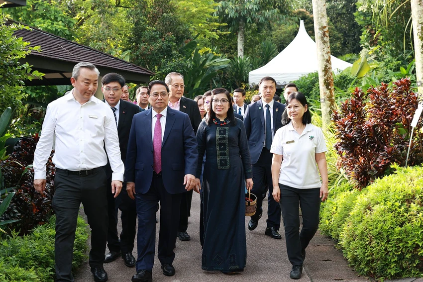 Giám đốc Vườn Thực vật Singapore và Giám đốc Vườn Lan Quốc gia đón Thủ tướng Phạm Minh Chính và Phu nhân Lê Thị Bích Trân dự lễ đặt tên hoa. Ảnh: VGP Giám đốc Vườn Thực vật Singapore và Giám đốc Vườn Lan Quốc gia đón Thủ tướng Phạm Minh Chính và Phu nhân Lê Thị Bích Trân dự lễ đặt tên hoa. Ảnh: VGP