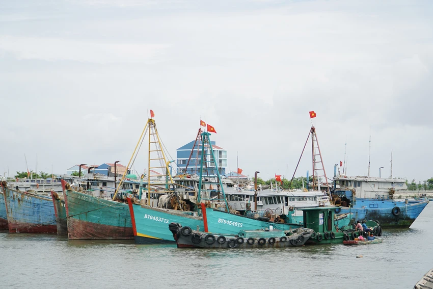 Các tàu thuyền neo đậu tại bờ sau chuyến vươn khơi.