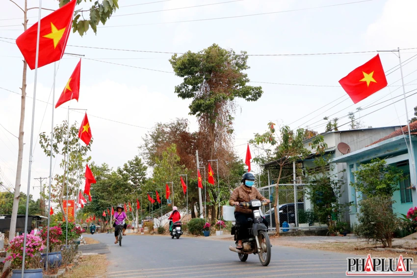 binh-duong-duong-co-to-quoc-ruc-ro-tai-cu-lao-rua.jpg