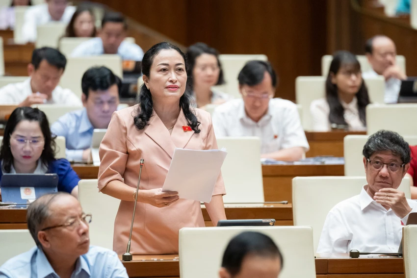Đại biểu đề xuất thông qua Luật Bảo hiểm xã hội sửa đổi sau khi cải cách tiền lương