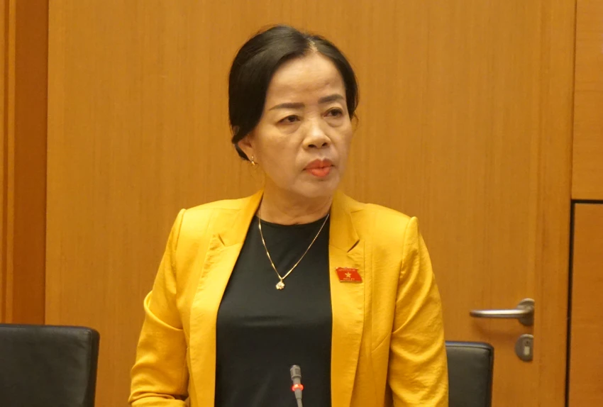 dbqh-nhieu-nha-dau-tu-kiet-que-vi-phai-cho-doi-giai-phong-mat-bang-nguyen-thi-kim-thuy.jpg