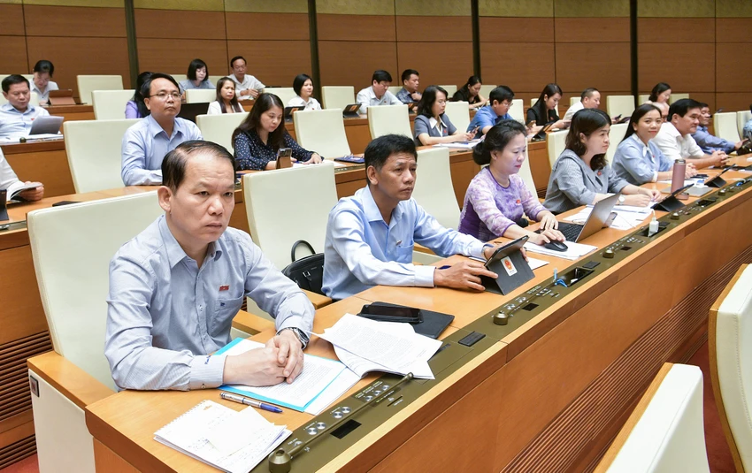 Đại biểu đề nghị cấm đốt pháo hoa dịp Tết vì 'không mang lại lợi ích gì'