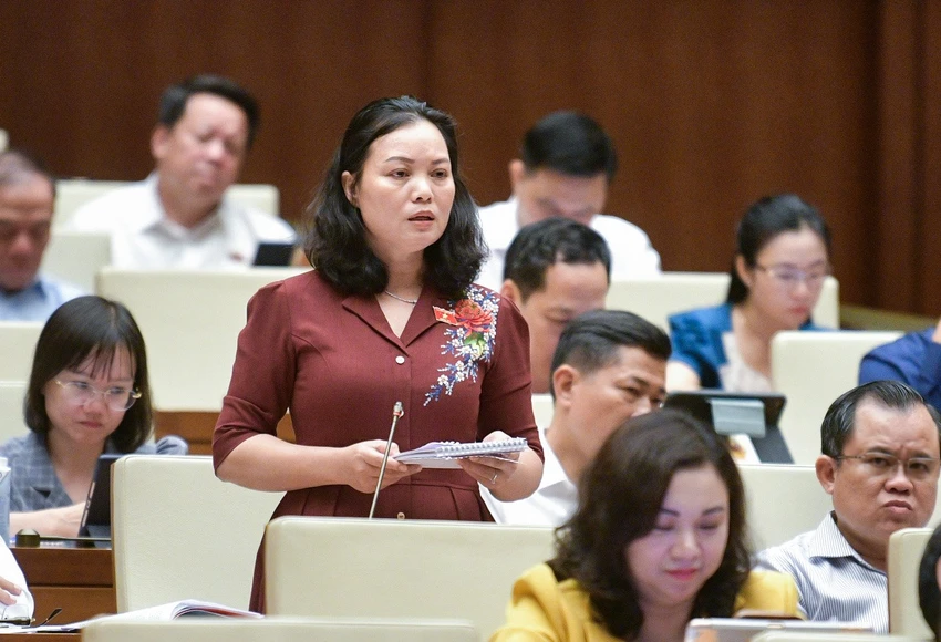 dai-bieu-de-nghi-cam-dot-phao-hoa-dip-tet-vi-khong-mang-lai-loi-ich-gi-huynh-thi-phuc.jpg