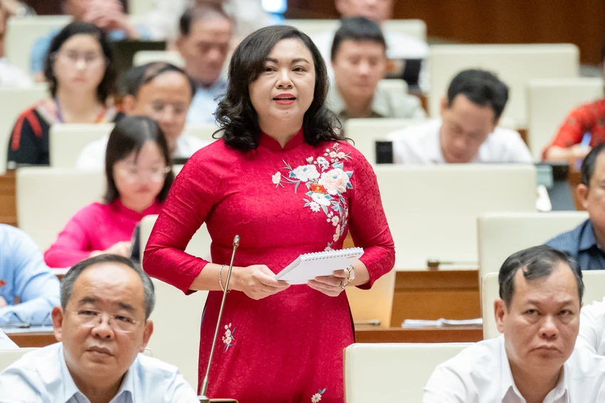 bo-truong-tn-mt-dang-quoc-khanh-noi-ve-viec-thieu-cat-de-lam-cac-du-an-cao-toc-dang-bich-ngoc.jpeg