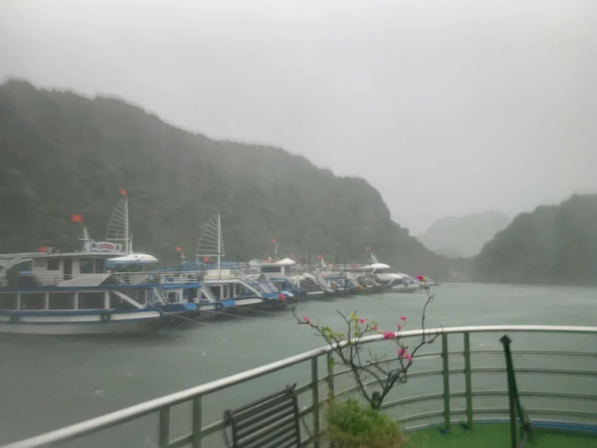 huyen-dao-cat-hai-bao-so-3.jpg