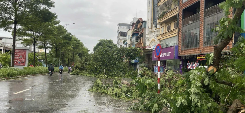 BAO-SO-3-NGOC-DIEP.jpg