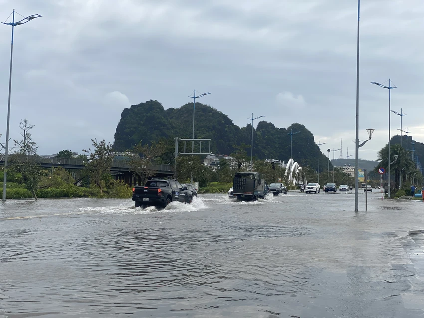 bao-so-3-quang-ninh-2.jpg