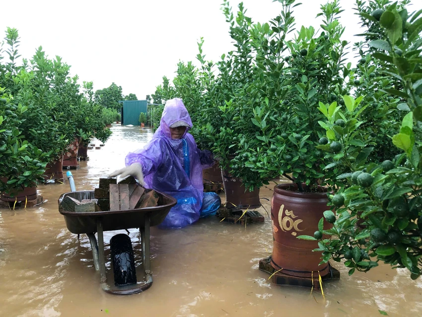 Ngap-ha-noi.jpg