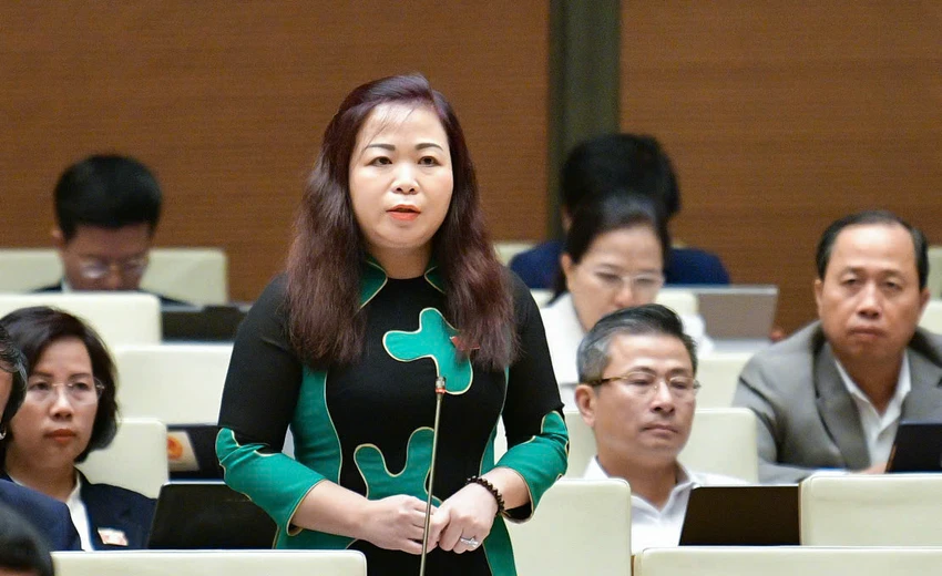 vu-thi-luu-mai.jpg